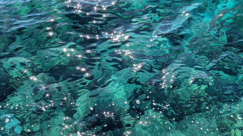 Bottled Water still or sparkling